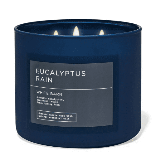 Eucalyptus Rain - Candles CLOUD